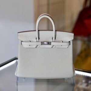 Birkin 25 Touch Togo Matte Crocodile